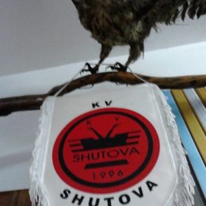 shutova11