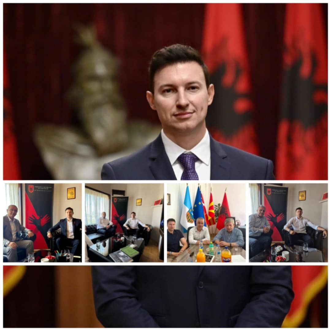 Zyrtare  Kur diplomacia bëhet propagandë  Ambasadori Meidani në shërbim të partive politike