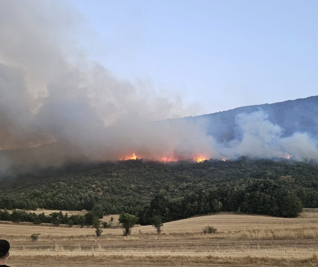 Sejdiu  Punët tona ecin përpara  ndërsa zjarret  rastësisht  ndezen pas nesh 