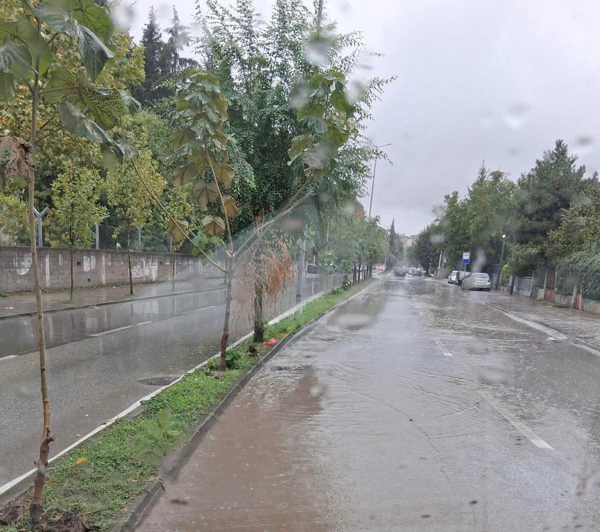 Nevrij Ademi akuza të rënda Teuta Arifit  Ja zullumi që i është bërë Tetovës në kohën e saj