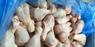 Ndalohet importi i mbi 26 tonëve mish pule nga Brazili në pikën kufitare Qafë Thanë