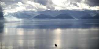 Përfundoi numërimi dimëror i shpendëve ujorë: Liqeni i Dojranit me shifra stabile, Ohri me 12.000 shpendë më pak