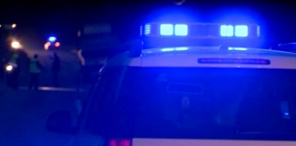 Aksion i madh policor, sekuestrohen dhjetëra tonë marihuanë