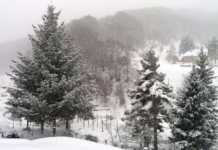 Për shkak të borës, rruga Tetovë – Kodra e Diellit është ndaluar për kamionët dhe autobusët