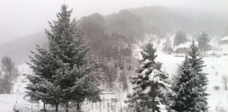 Për shkak të borës, rruga Tetovë – Kodra e Diellit është ndaluar për kamionët dhe autobusët