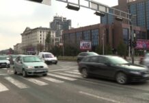 Pesëmbëdhjetë shoferë të arrestuar brenda një dite për drejtim pa patentë