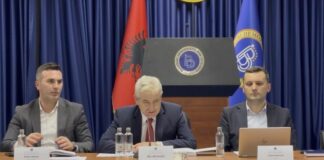 BDI zgjedh kryetarët e degëve në katër komuna