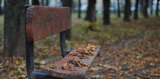 Mot pranveror me diell dhe vranësira mundësi për shi lokal pasdite