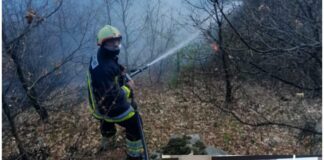 Feti Abazi: Falë reagimit të zjarrfikësve tanë dhe të Tetovës. U shua zjarri në rrugën, për në Novo Sellë