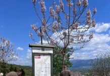 Tabela të reja informuese, një tjetër hap i suksesshëm në Parkun Kombëtar Mali Sharr