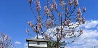 Tabela të reja informuese, një tjetër hap i suksesshëm në Parkun Kombëtar Mali Sharr