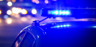 Aksion i gjerë policor në Tetovë e Gostivar: Arrestohen katër persona për vozitje pa patentë shoferi