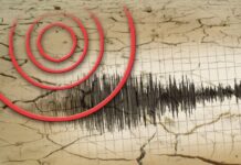 Tërmet në Maqedoni, ja sa ballë ishte