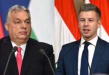 Opozita fiton në Hungari, Orban shkon në histori