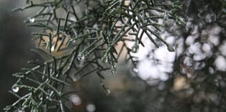 Moti sot në Maqedoninë e Veriut do të jetë me vranësira dhe reshje të shiut