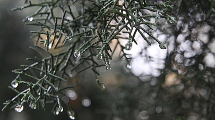 Moti sot në Maqedoninë e Veriut do të jetë me vranësira dhe reshje të shiut