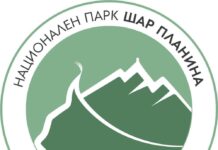 Parku Nacional “Mali Sharr” apel qytetarëve: Festoni 1 Majin pa rrezikuar natyrën