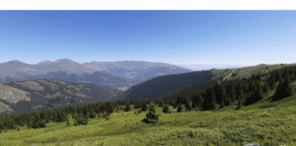 Parku Kombëtar “Mali Sharr”, pjesë e projektit evropian për mbrojtjen e ariut të murrmë