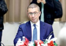 Nisma për ndryshimet kushtetuese, Mickoski: BDI le të zgjidh problemet që ka me programin dhe kuadrot