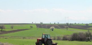Bujqit e Pollogut: Vonohen subvencionet, mungon uji për vaditje