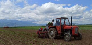Tetovë: 66-vjeçari kapet duke drejtuar traktorin pa patentë shofer, konfiskohet mjeti