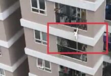 5-vjeçari bie nga ballkoni i shtëpisë në Gostivar
