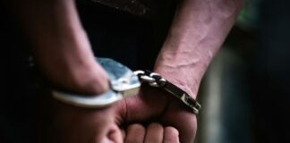 Bastisje në Bogovinë, gjendet dr*ogë, privohet nga liria një person