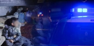 Pa patentë shoferi, me automjet të huaj dhe pa targa, transportonte emigrantë