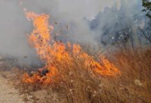 Alarm në Maqedoninë e Veriut: Pothuajse i gjithë vendi nën rrezik të lartë nga zjarret!