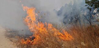 Alarm në Maqedoninë e Veriut: Pothuajse i gjithë vendi nën rrezik të lartë nga zjarret!
