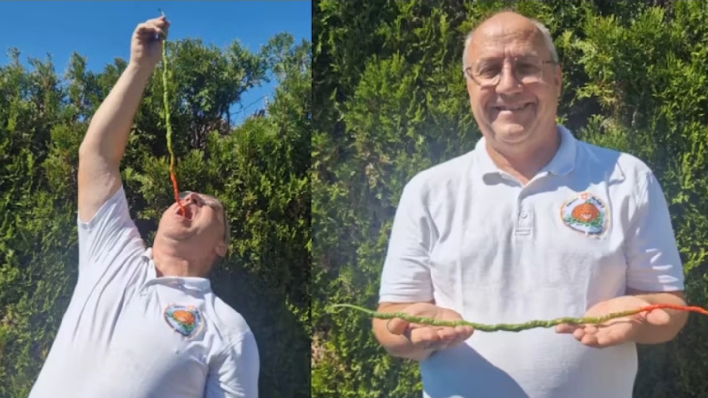 52 Centimetra I Gjatë  Ky Është Speci Djegës Që Theu Rekordin Botëror