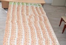 U kap me 14.440 euro në veturë, ishte nën masën “arrest shtëpie” për drogë, jepet paraburgim 30 ditor për 35-vjeçarin