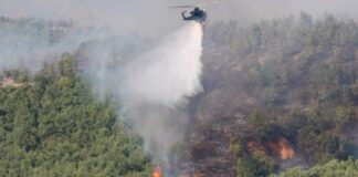 Gjithsej 31 zjarre, tre aktive, katër nën kontroll