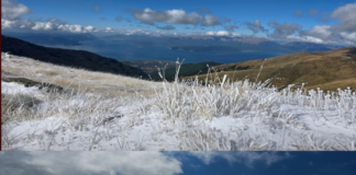 Vjeshta sapo nisi, Pelisteri zbardhet nga bora
