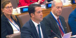VLEN: Partneriteti me SHBA-në dhe zgjerimi i BE-së mbeten kyçe për të ardhmen e rajonit