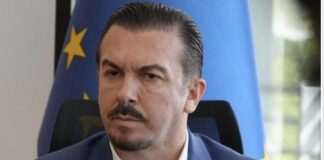 Mustafa Dauti: “Aksion i fortë i Doganës:Kapen migrantë gjatë kontrollit”