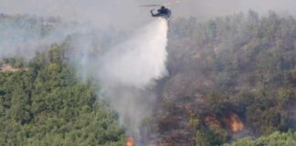 Angazhohen helikopterët e Armatës dhe “Air tractorët”! Zjarri në fshatin Graçan, aktiv nga ana e Maqedonisë dhe e Kosovës