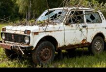 Del nga rruga një Llada Niva, shoferi dhe një pasagjer me lëndime trupore
