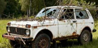 Del nga rruga një Llada Niva, shoferi dhe një pasagjer me lëndime trupore