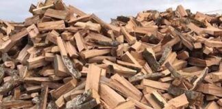 Aksion i madh kundër shitjes ilegale të drurit, rreth 400 metra kub dru zjarri u sekuestruan në një kompani