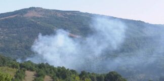 QMK: 31 zjarre në hapësirë të hapur gjatë 24 orëve, katër janë aktive