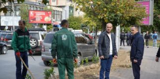 NPK-Tetova vazhdon zëvendësimin e drunjëve të dëmtuar në bulevartet e Tetovës
