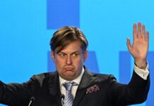 Deputeti i AfD-së vajton humbjen e Vuçiqit: Humbëm edhe Serbinë